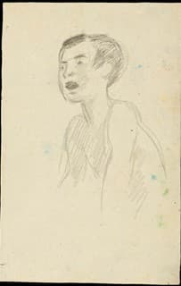 © J.F. Willumsen / VISDA