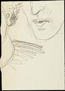 © J.F. Willumsen / VISDA